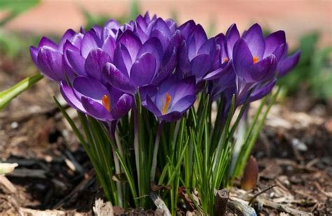 Прогноз погоди в Україні на вихідні 25–26 квітня: чи чекати потепління