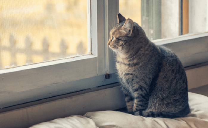 Чи очікується холод у вихідні: прогноз погоди на 15 – 16 листопада 