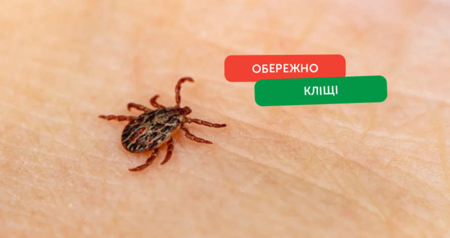 Профілактика укусів кліщів: практичні рекомендації