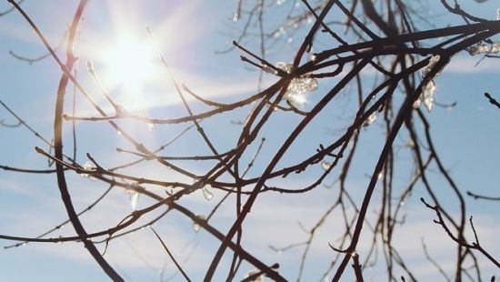 Чи очікується в Україні потепління протягом тижня: прогноз погоди на 10–16 листопада