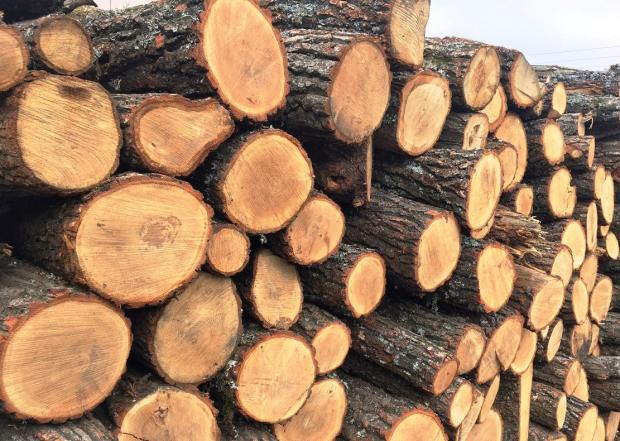 19 400 гривень на вугілля та дрова: хто може отримати в Україні допомогу на зиму