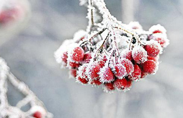 В Україні очікується похолодання: прогноз погоди 22 – 28 грудня