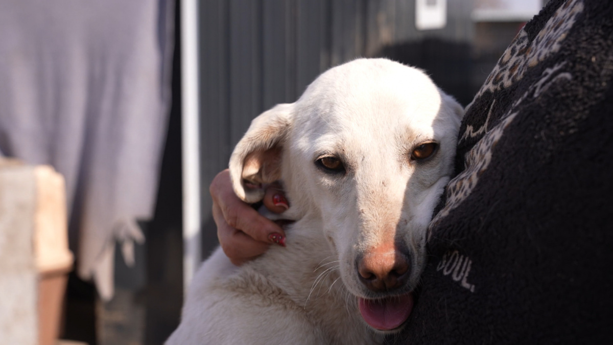 Джерело: Суспільне Донбас
