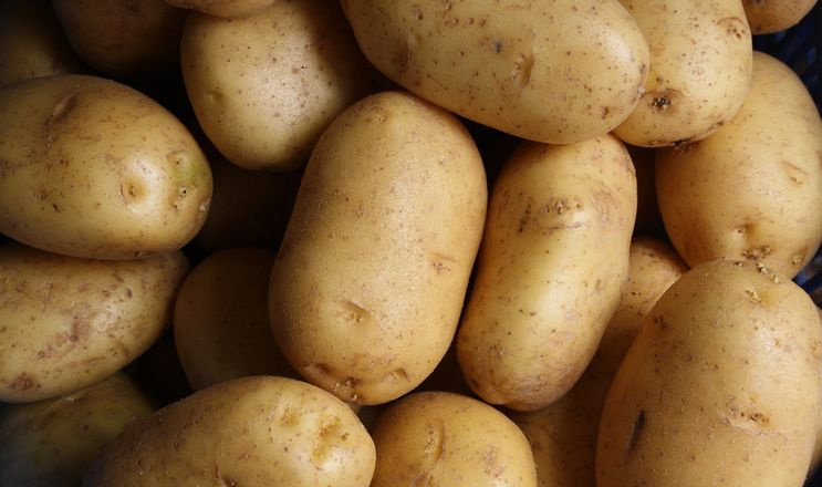 Стара картопля дорожчає: яка причина і вартість