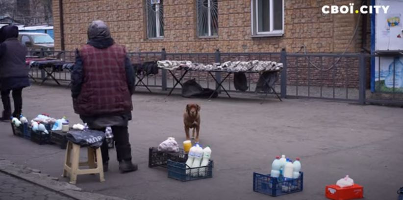 Чим живе Добропілля - історії місцевих мешканців 