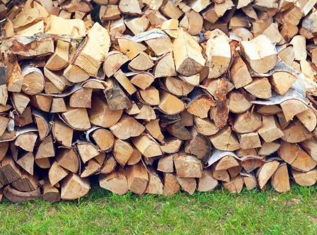 Грошова допомога на дрова: хто може отримати кошти у 2025 році