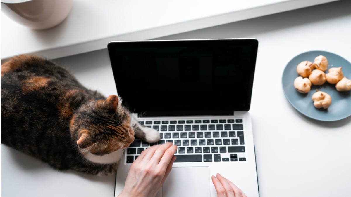 Період без роботи більше не «випаде» зі стажу: що вирішили в Україні