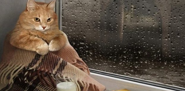 Як зігріти квартиру без світла і газу: практичні поради