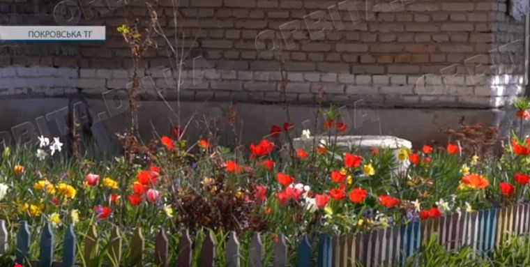 Весна у Родинському: як живе прифронтове місто