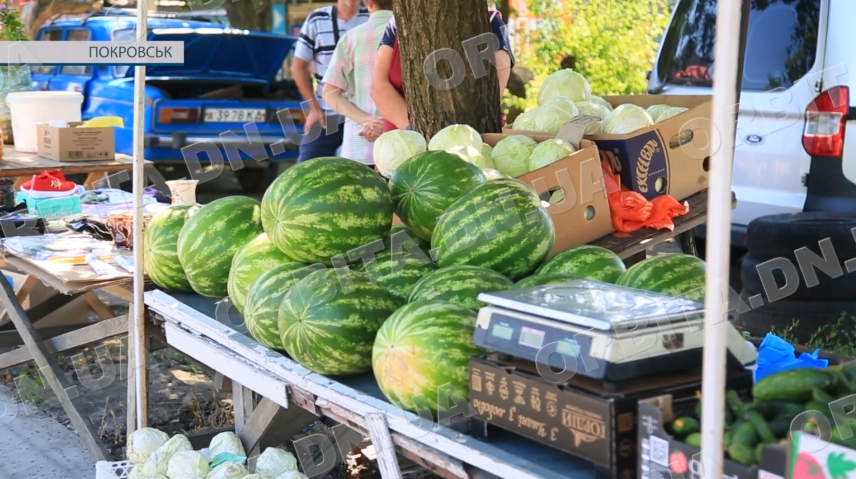 Сезон кавунів у розпалі: яка ціна головної ягоди літа у Покровську