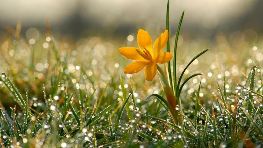 Якою буде погода на вихідні 28 лютого – 1 березня: прогноз