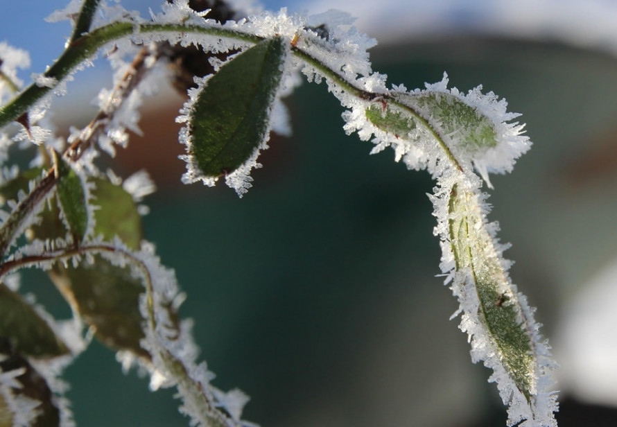 Сніг, ожеледиця та поривчастий вітер: прогноз погоди в Україні на 3–4 січня