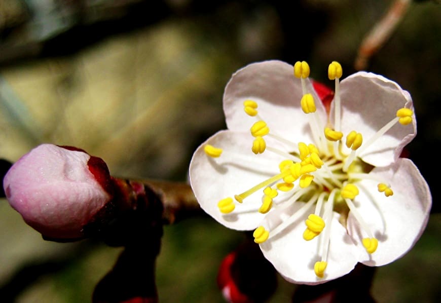Останній тиждень календарної зими: якою буде погода 23 лютого – 1 березня