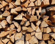 Які дрова можна збирати в лісі: що дозволено, а що карають штрафом