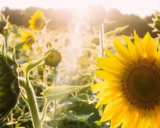 Погода в Україні 4-5 квітня: в яких регіонах очікуються дощі