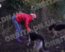 У Покровську жінка рятує від голоду покинутих тварин - історія Наталії Онищенко