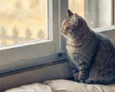 Чи очікується холод у вихідні: прогноз погоди на 15 – 16 листопада 