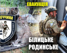 Поліцейські рятують тварин і людей з Білицького та Родинського: як евакуюватися
