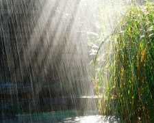 Прогноз погоди в Україні на вихідні 14 – 15 березня: чи буде похолодання