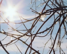 Чи очікується в Україні потепління протягом тижня: прогноз погоди на 10–16 листопада