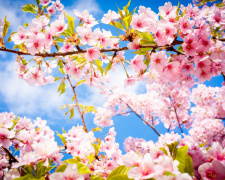 Прогноз погоди в Україні 21 та 22 березня: чого очікувати від весняних вихідних