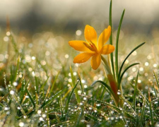 Останні вихідні жовтня 2025: якою буде погода