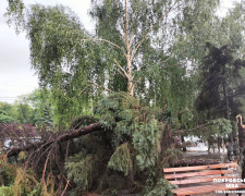 Негода у Покровську: повалені дерева, пошкоджені дахи та електромережі