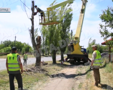 Працівники Мирноградського БОКГ почали обпилювання аварійних дерев