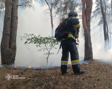 За добу в Донецькій області ліквідовано 17 пожеж, 6 із яких спричинені обстрілами