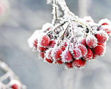 В Україні очікується похолодання: прогноз погоди 22 – 28 грудня