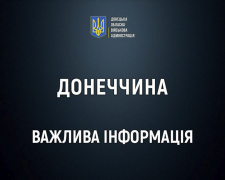 Оголошено примусову евакуацію дітей у Покровській громаді – Донецька ОВА