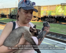 Пішки під вибухами: подружжя з Покровська вийшло з міста з котами та сумками