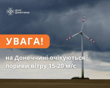 На Донеччині оголошено штормове попередження: очікуються сильні пориви вітру