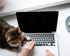 Період без роботи більше не «випаде» зі стажу: що вирішили в Україні