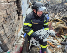 Очі сповнені страху та надії: рятувальники у Добропіллі врятували собаку з-під завалів