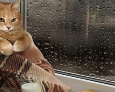 Як зігріти квартиру без світла і газу: практичні поради