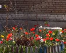 Весна у Родинському: як живе прифронтове місто