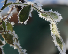 Якою буде погода в Україні 20 – 21 грудня: прогноз на вихідні