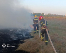 На Донеччині синоптики попереджають про надзвичайну пожежну небезпеку: як вберегтись