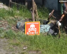 ДСНС розміновує Донеччину: як виявляють вибухові предмети