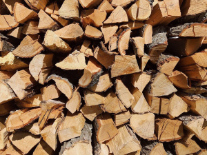 Які дрова можна збирати в лісі: що дозволено, а що карають штрафом