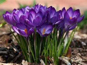 Прогноз погоди в Україні на вихідні 25–26 квітня: чи чекати потепління