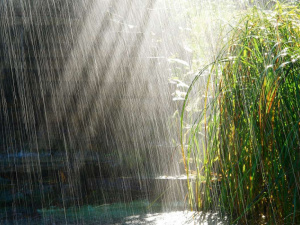 Прогноз погоди в Україні на вихідні 14 – 15 березня: чи буде похолодання