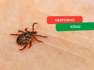Профілактика укусів кліщів: практичні рекомендації
