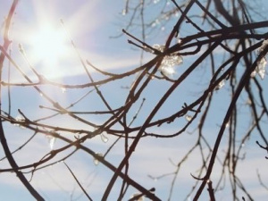 Чи очікується в Україні потепління протягом тижня: прогноз погоди на 10–16 листопада