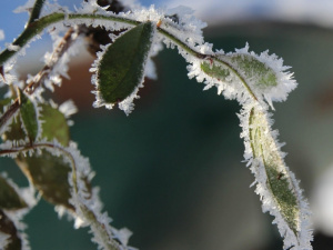 Прогноз погоди в Україні на вихідні 8–9 листопада