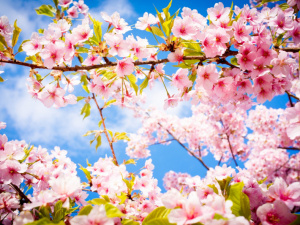 Прогноз погоди в Україні 21 та 22 березня: чого очікувати від весняних вихідних