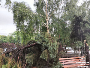 Негода у Покровську: повалені дерева, пошкоджені дахи та електромережі