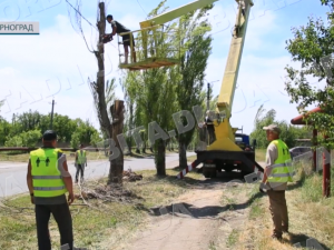 Працівники Мирноградського БОКГ почали обпилювання аварійних дерев