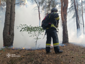 За добу в Донецькій області ліквідовано 17 пожеж, 6 із яких спричинені обстрілами